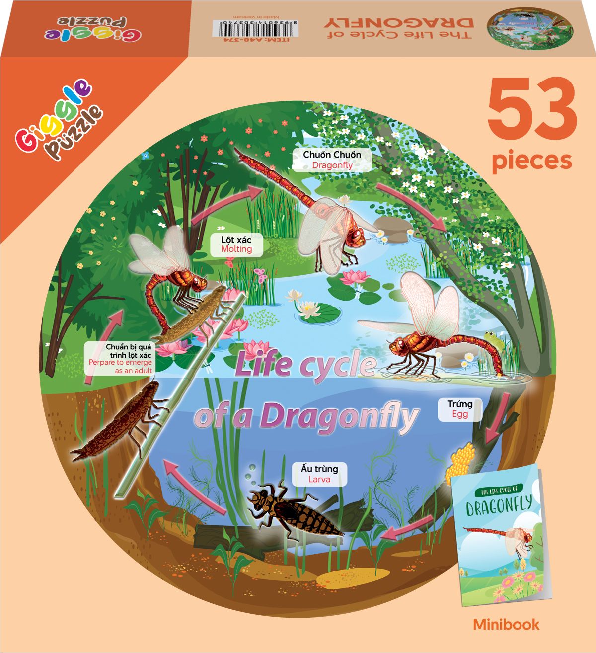  The Cycle Of Life -  Vòng Đời Của Chuồn Chuồn - 53 Miếng 