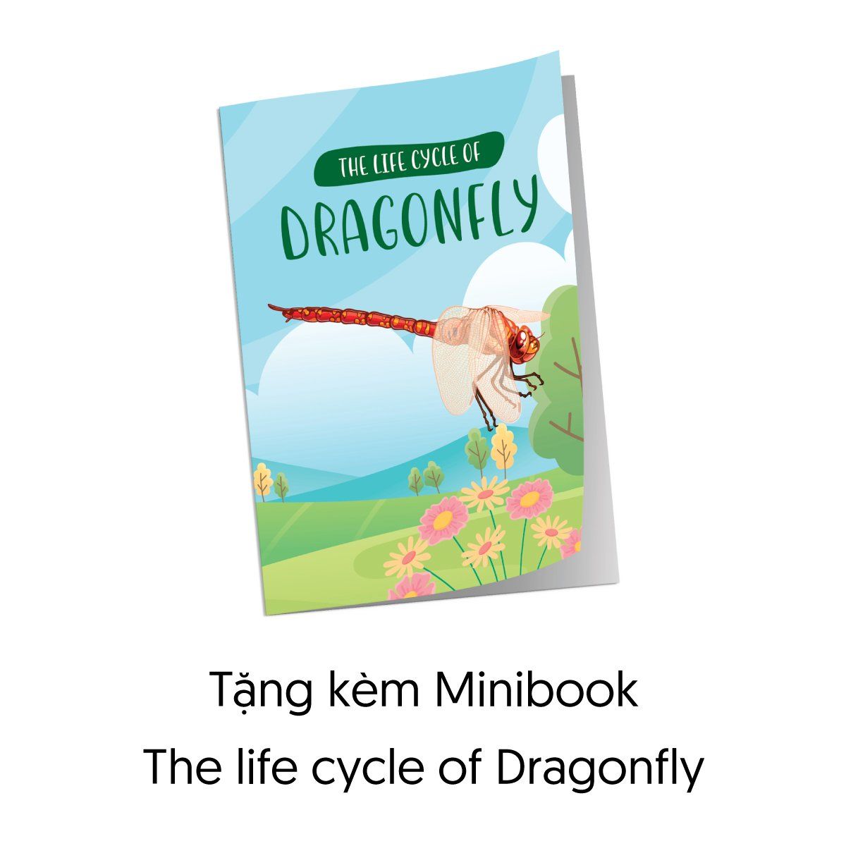  The Cycle Of Life -  Vòng Đời Của Chuồn Chuồn - 53 Miếng 