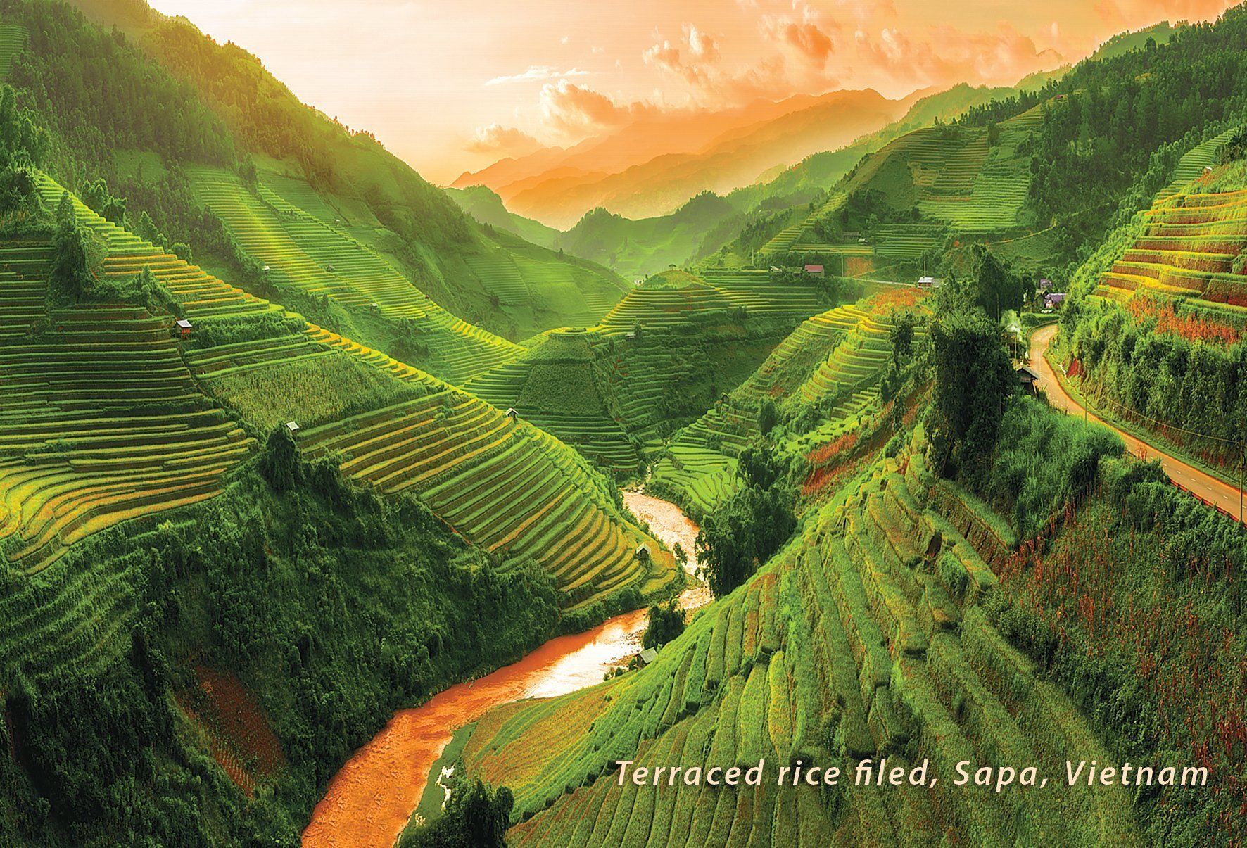  Puzzle Postcard - Ruộng bậc thang Sapa 