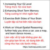  Động vật - 300 Mảnh 