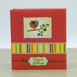  Album Photo NO - 10 x 15 - 80 Hình ( có hộp ) 