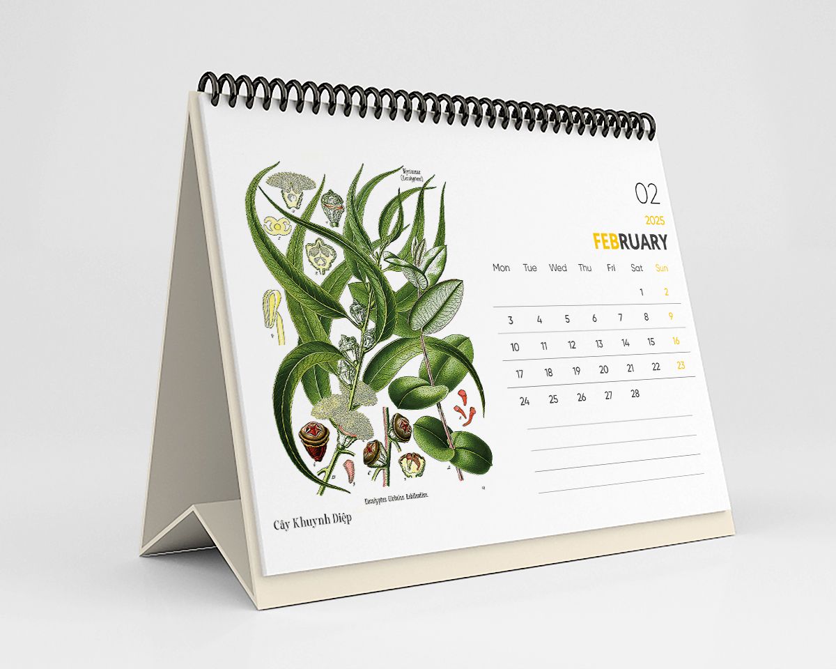  Lịch Bàn 2025 - Wildflower & Herbs 
