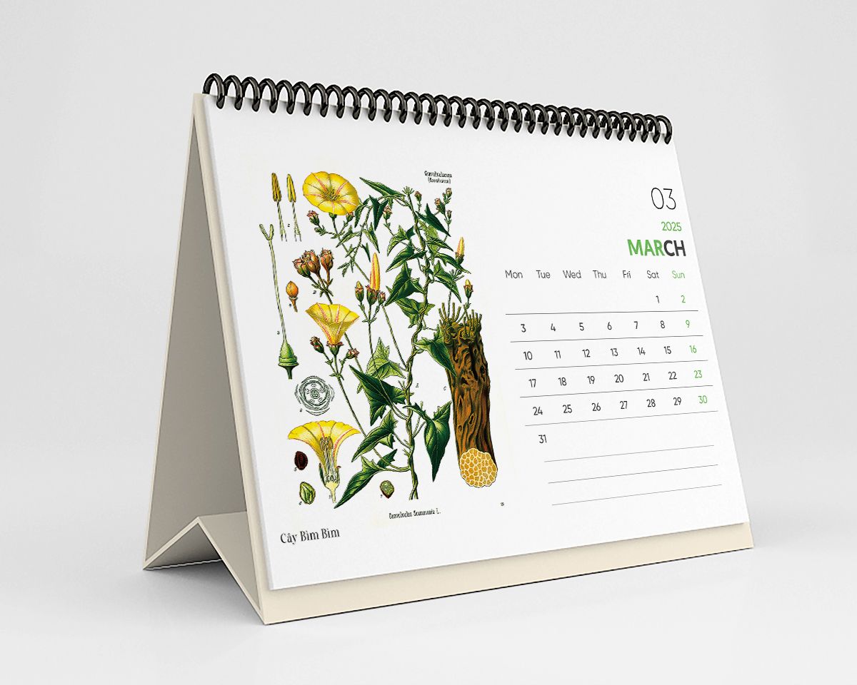  Lịch Bàn 2025 - Wildflower & Herbs 