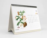 Lịch Bàn 2025 - Wildflower & Herbs 