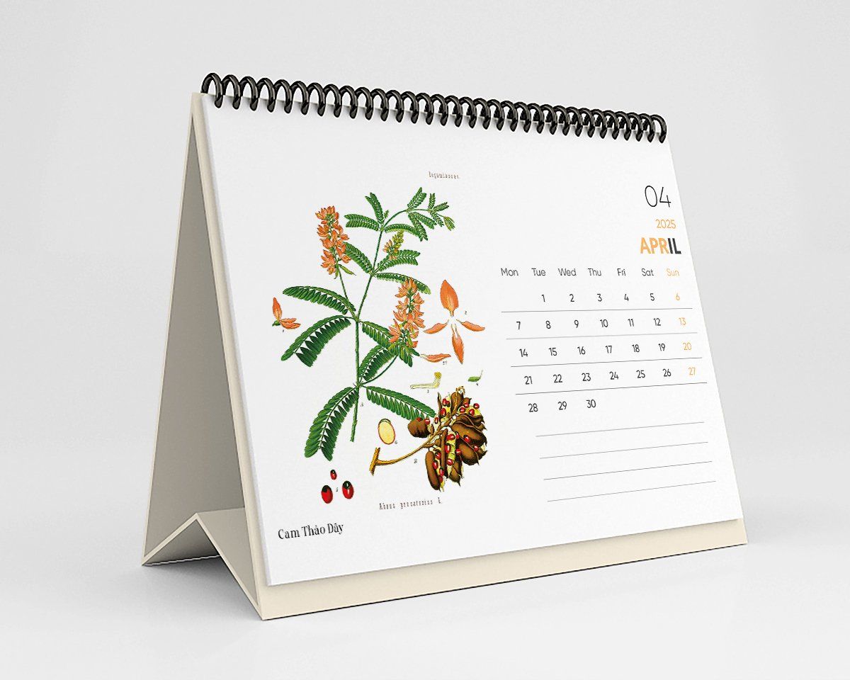  Lịch Bàn 2025 - Wildflower & Herbs 