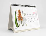  Lịch Bàn 2025 - Wildflower & Herbs 