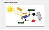  Đèn pha chiếu sáng đường năng lượng mặt trời  Rạng Đông CSD02.SL 100W 