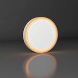  Đèn LED Ốp Trần Tròn Đổi Màu Rạng Đông LN24 ĐM 24W 