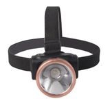  Đèn LED Pin đội đầu Rạng Đông 1W 3W 5W 