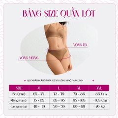 Quần lót lưng cao iMERRY ôm trọn vòng 3, không viền, tôn dáng, thon gọn vùng bụng dưới VQ009