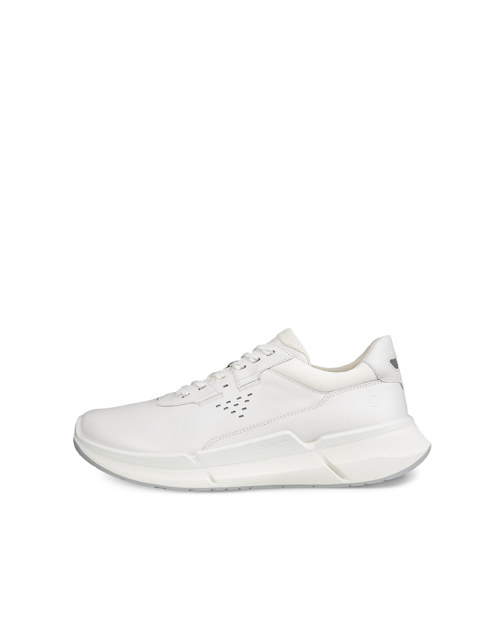 ECCO Biom 2.2 M