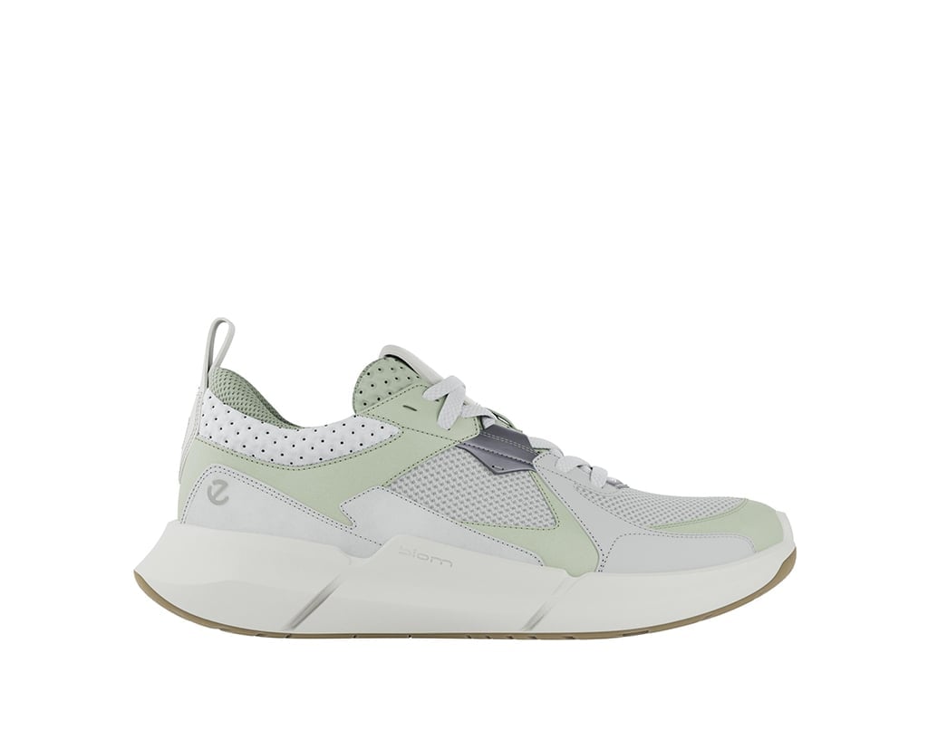 Biom 2.2 W