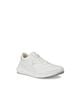 Biom 2.2 M