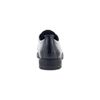 Citytray Avant M