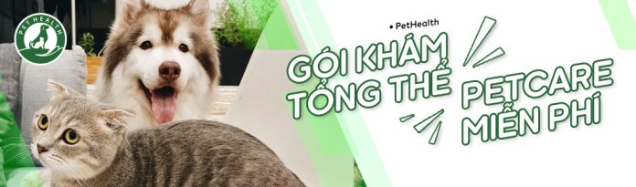 MIỄN PHÍ KHÁM TỔNG THỂ CHO PET THÁNG 10