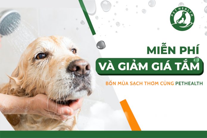 bốn mùa sạch thơm cùng Pethealth 01