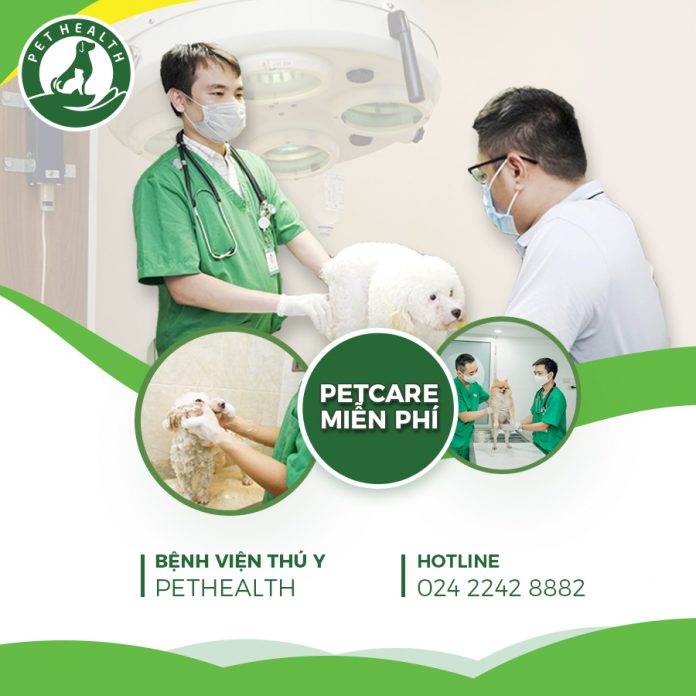 TẶNG GÓI KHÁM SỨC KHOẺ TỔNG THỂ CHO PET CƯNG HOÀN TOÀN MIỄN PHÍ