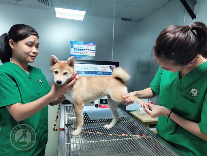 Artboard 1 copy triệu chứng bệnh loạn sản xương hông