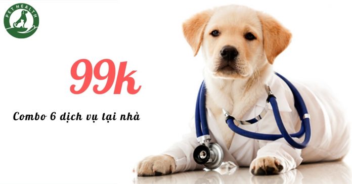 sự kiện bác sĩ thú y tại nhà PetHealth