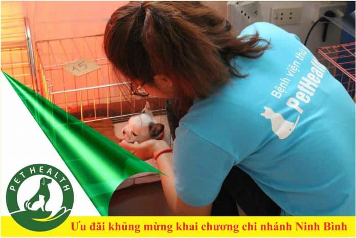 KHAI TRƯƠNG BỆNH VIỆN THÚ Y PETHEALTH NINH BÌNH – VÔ VÀN ƯU ĐÃI KHỦNG