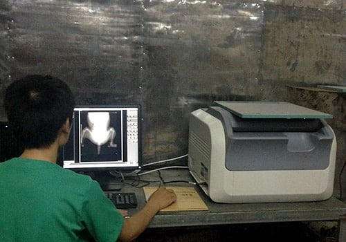 chụp X-quang thú cưng công nghệ hiện đại