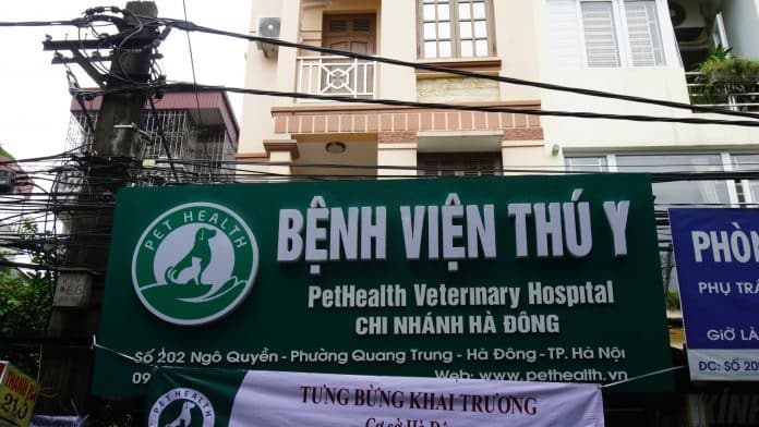 KHAI TRƯƠNG BỆNH VIỆN THÚ Y PETHEALTH HÀ ĐÔNG – VÔ VÀN ƯU ĐÃI KHỦNG