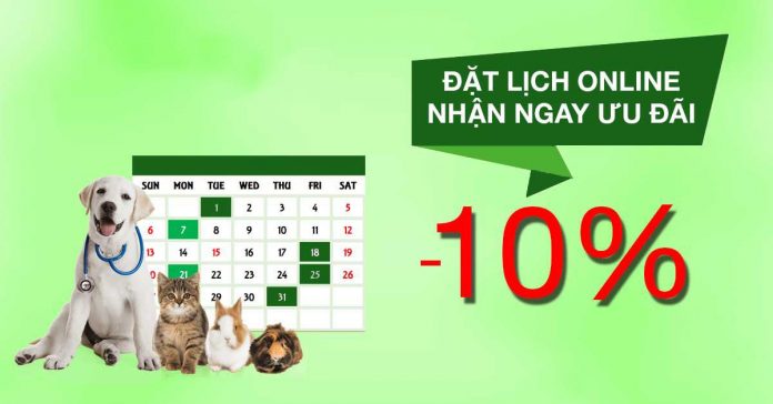 sự-kiện-bệnh-viện-thú-y-pethealth sự kiện bệnh viện thú y pethealth