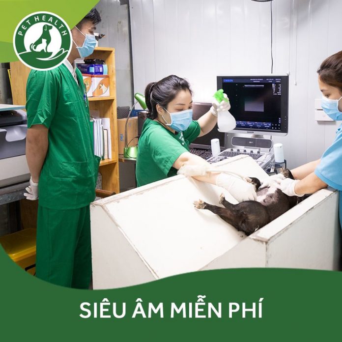 siêu âm thai miễn phí