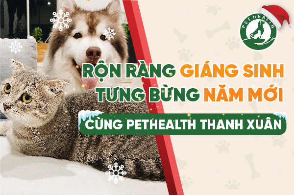 Web 18 chi nhánh-04 Rộn ràng giáng sinh cùng Pethealth Thanh Xuân