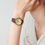  Đồng hồ nữ Julius JA-508 dây da nâu - Size 30 