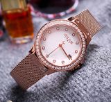  Combo đồng hồ nữ Julius Star JS-040 Kính Sapphire - Size 33 
