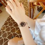  Julius nữ dây thép JA-1164LG - Size 28 