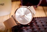  Đồng hồ Nữ JULIUS Star  Sapphire JS-022A (Bạc) 