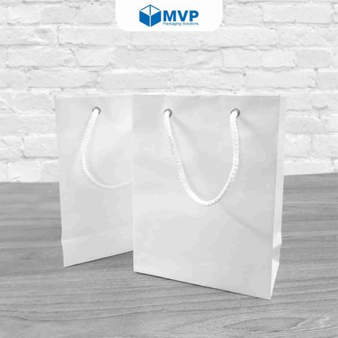  Túi Giấy Kraft Trắng (22x17x7)cm, túi giấy đựng quà 