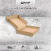 1 Hộp Carton Nắp Gài, Hộp Nắp Gài giá rẻ đựng quà tặng, quần áo, sản phẩm handmade
