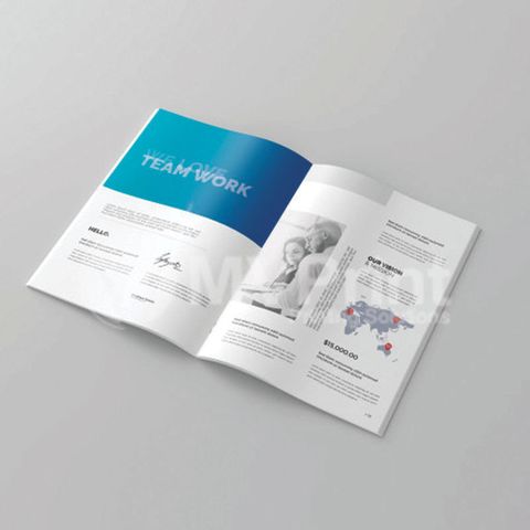 in catalogue a5 c250