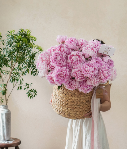 Giỏ lục bình Peony 40 bông