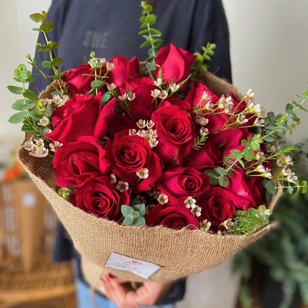 Bé tròn xoe Hồng đỏ