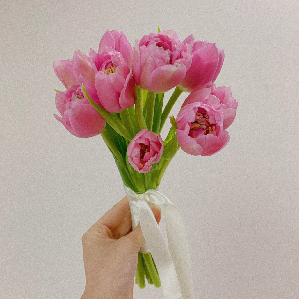 Hoa cưới tulip hồng