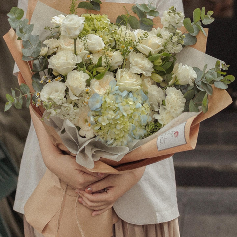 Bó một mặt tú cầu xanh bơ