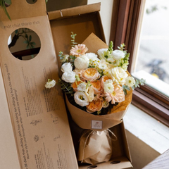 Box thảnh thơi juliet