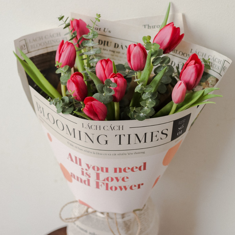 Bó Blooming times tulip đỏ