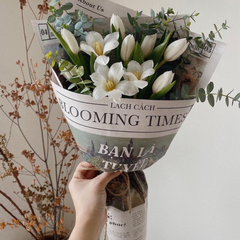 Bó Blooming times tulip trắng