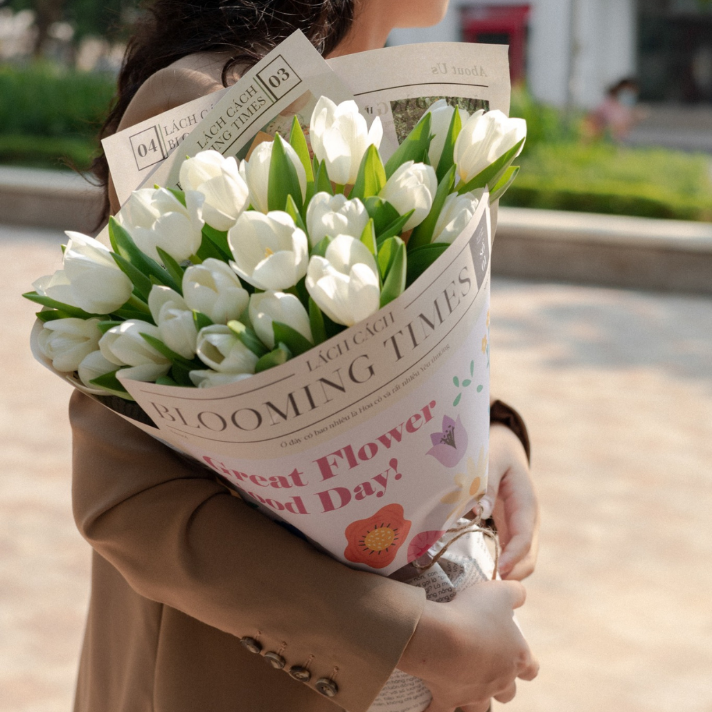 Bó Blooming times tulip trắng