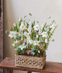 Khay lục bình tulip