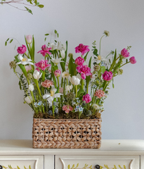 Khay lục bình tulip