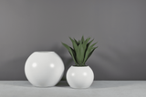  GLOBE Planter 