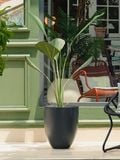  VALENCIA Tall Round Tapered Planter 