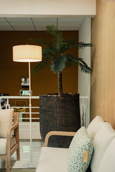  CANXE BAMBOO Planter H.100 