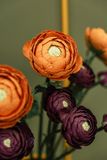  RANUNCULUS Paper Flower + ITAC Vase 